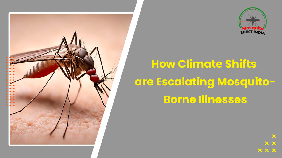 Mosquito-Mukt india: How Climate Shifts Are Escalating Mosquito-Borne Illnesses